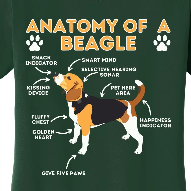 Anatomy Of A Beagle Funny Beagle Dog Lover Pet Owner Women's T-Shirt