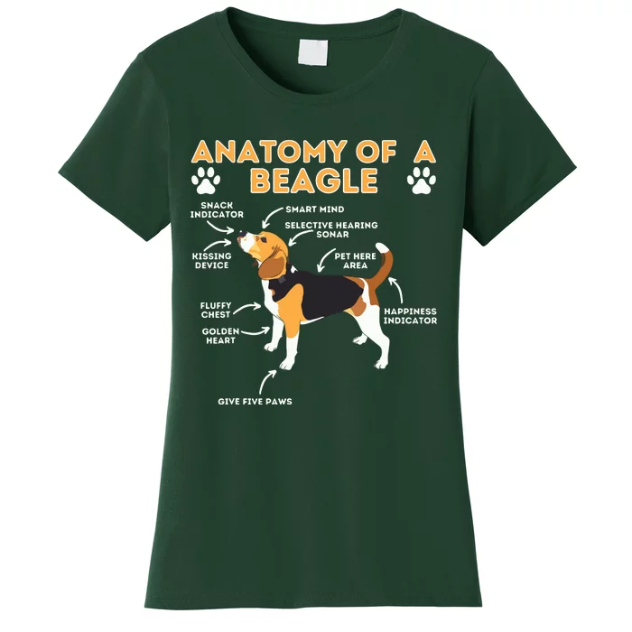 Anatomy Of A Beagle Funny Beagle Dog Lover Pet Owner Women's T-Shirt