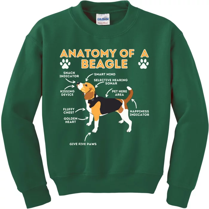 Anatomy Of A Beagle Funny Beagle Dog Lover Pet Owner Kids Sweatshirt