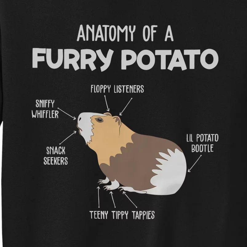 Anatomy Of A Furry Potato Guinea Pig Animal Kingdom Tall Sweatshirt