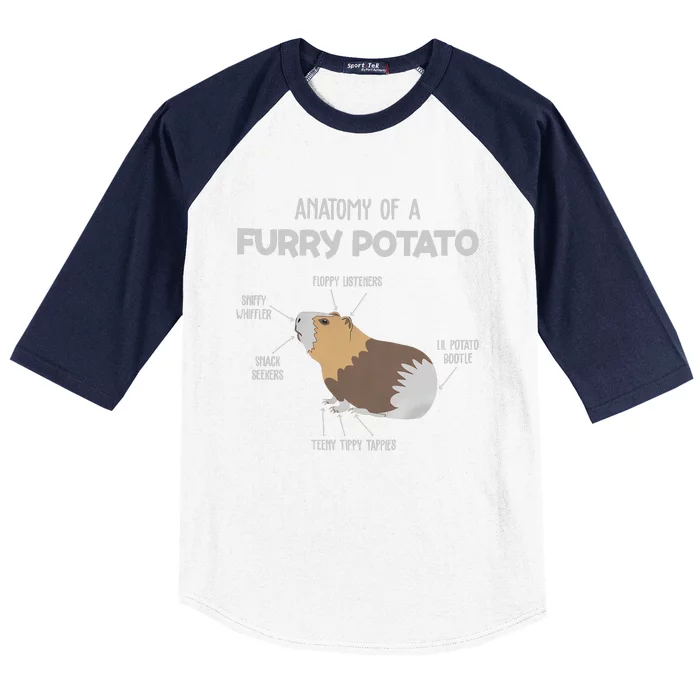 Anatomy Of A Furry Potato Guinea Pig Animal Kingdom Baseball Sleeve Shirt