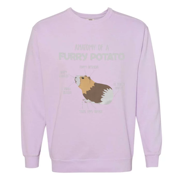 Anatomy Of A Furry Potato Guinea Pig Animal Kingdom Garment-Dyed Sweatshirt