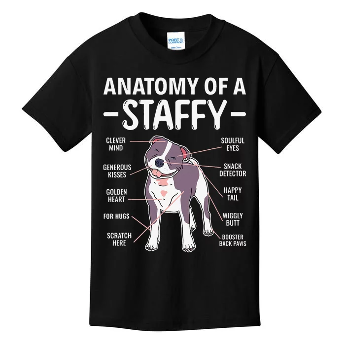 Anatomy Of A Staffy Staffordshire Bull Terrier Kids T-Shirt