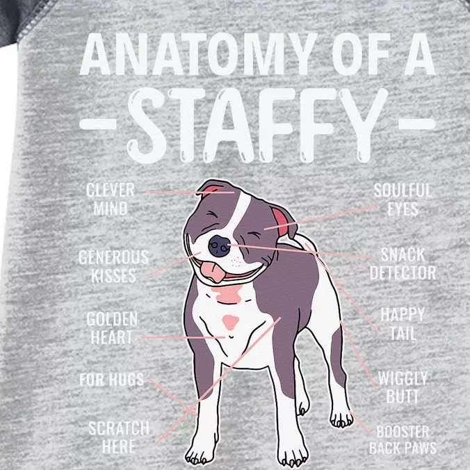 Anatomy Of A Staffy Staffordshire Bull Terrier Infant Baby Jersey Bodysuit