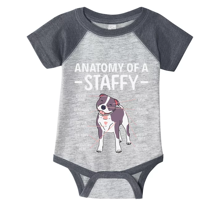 Anatomy Of A Staffy Staffordshire Bull Terrier Infant Baby Jersey Bodysuit