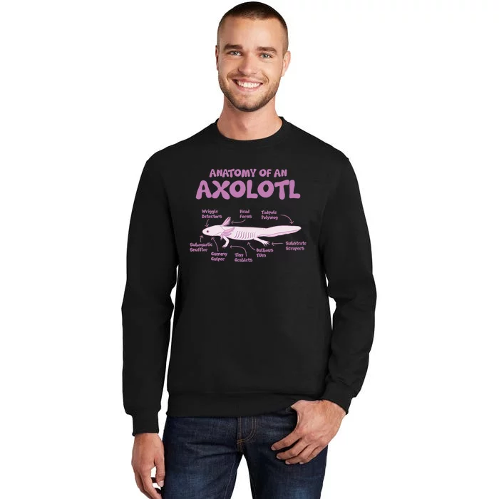 Anatomy Of An Axolotl Axolotls Funny Biology Diagram Science Tall Sweatshirt