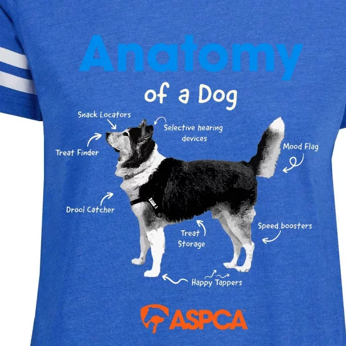 Anatomy Of A Dog Enza Ladies Jersey Football T-Shirt