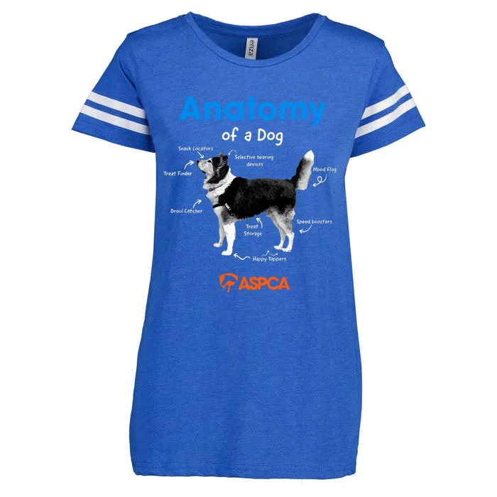 Anatomy Of A Dog Enza Ladies Jersey Football T-Shirt