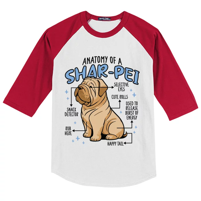 Anatomy Of A Sharpei Dog Kids Colorblock Raglan Jersey