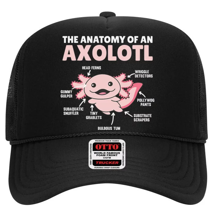 Anatomy Of an Axolotl Sweet Axolotl Explanation High Crown Mesh Trucker Hat