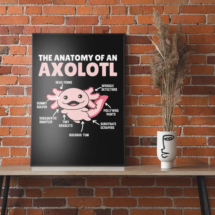 Anatomy Of an Axolotl Sweet Axolotl Explanation Poster