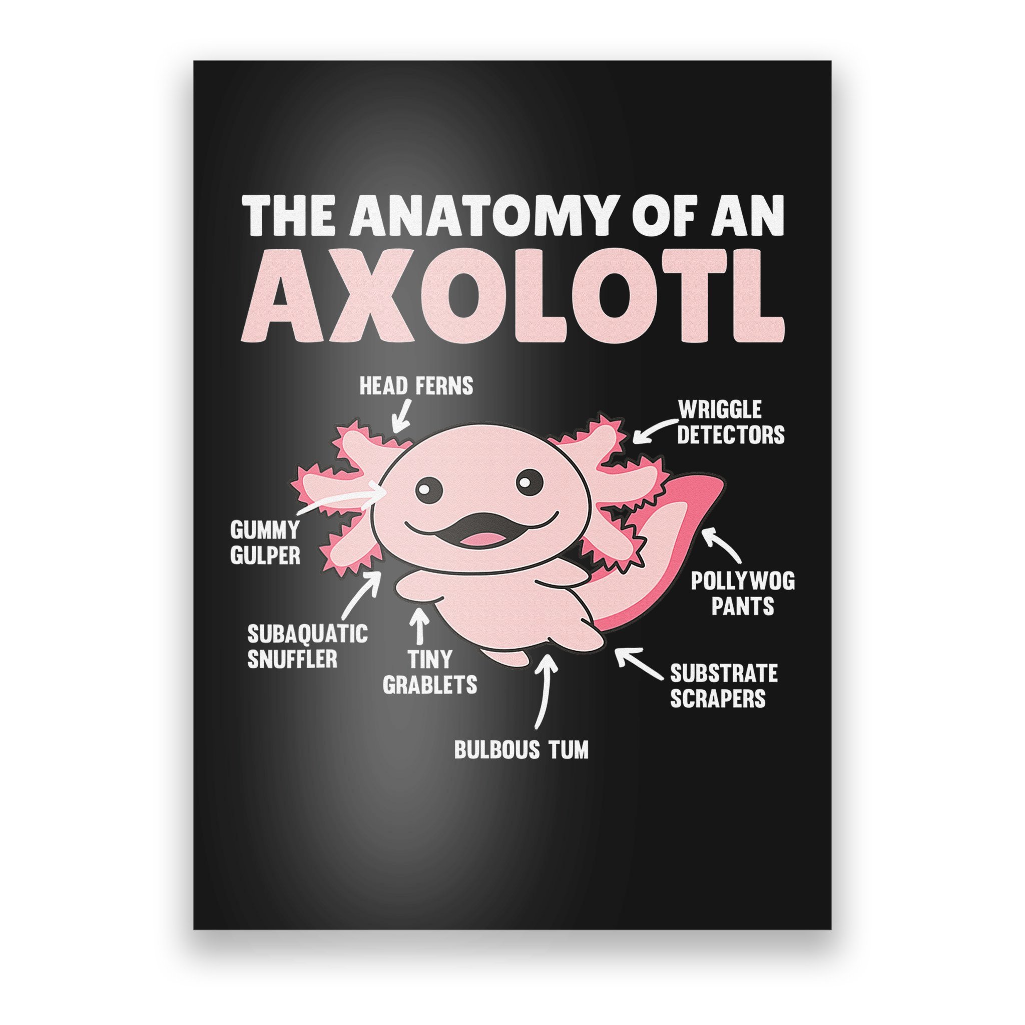 Anatomy Of an Axolotl Sweet Axolotl Explanation Poster | TeeShirtPalace