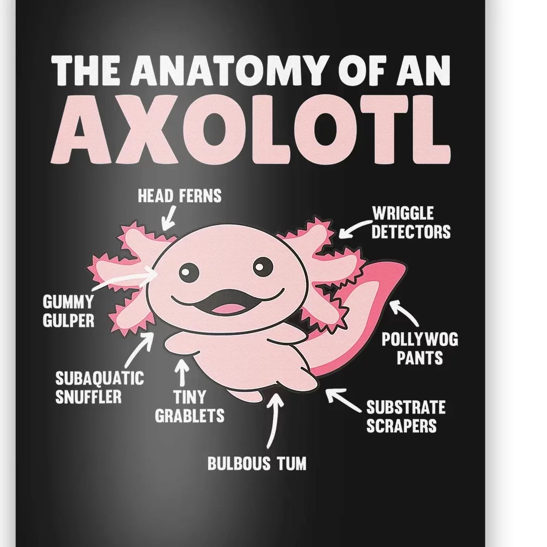 Anatomy Of an Axolotl Sweet Axolotl Explanation Poster