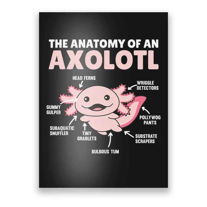 Anatomy Of an Axolotl Sweet Axolotl Explanation Poster