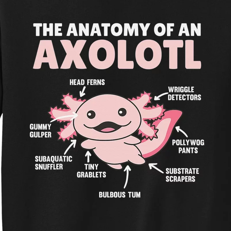 Anatomy Of an Axolotl Sweet Axolotl Explanation Tall Sweatshirt