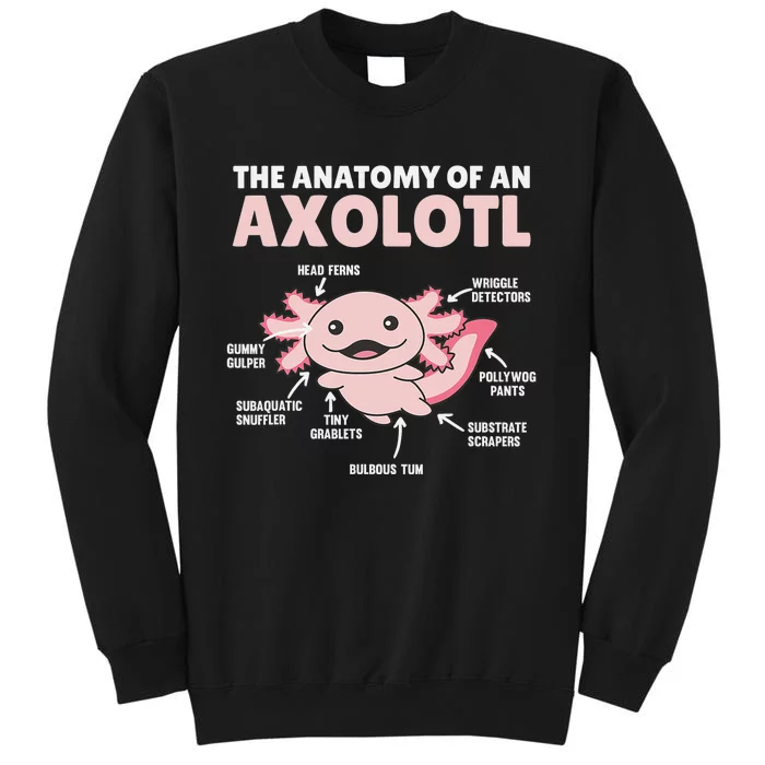 Anatomy Of an Axolotl Sweet Axolotl Explanation Tall Sweatshirt