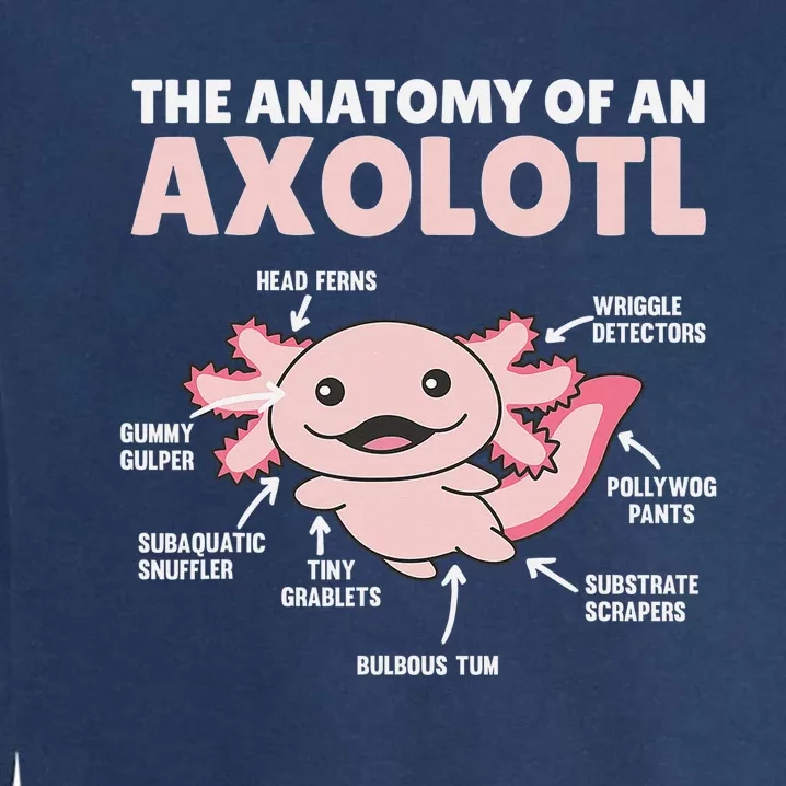 Anatomy Of an Axolotl Sweet Axolotl Explanation Garment-Dyed Sweatshirt