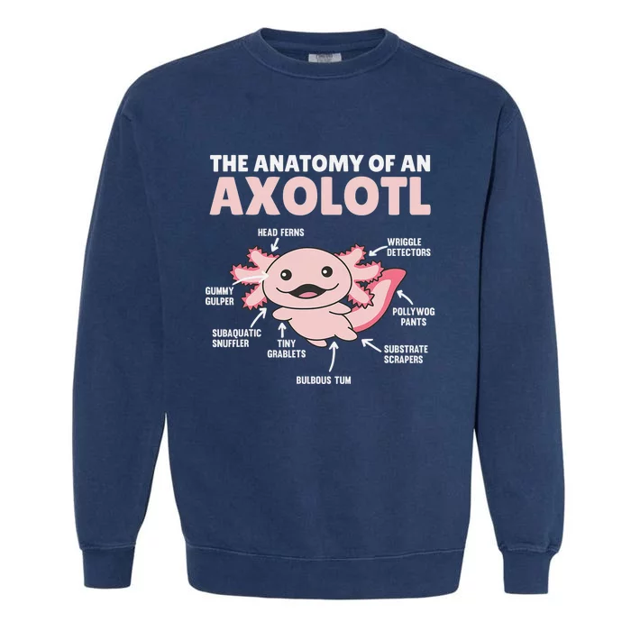 Anatomy Of an Axolotl Sweet Axolotl Explanation Garment-Dyed Sweatshirt