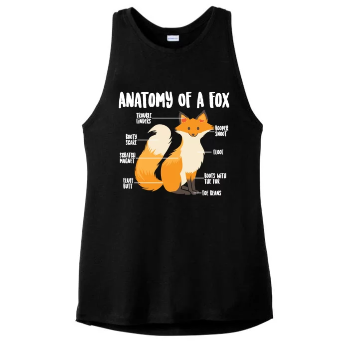 Anatomy Of A Fox Cute Sweet Carnivore Funny Animal Gift Ladies Tri-Blend Wicking Tank