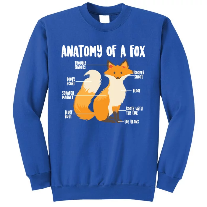 Anatomy Of A Fox Cute Sweet Carnivore Funny Animal Gift Tall Sweatshirt