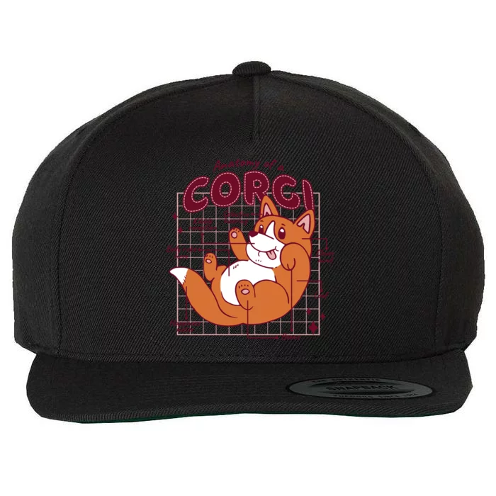 Anatomy Of A Corgi Dog Wool Snapback Cap