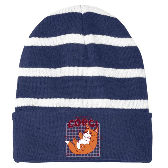 Anatomy Of A Corgi Dog Striped Beanie with Solid Band