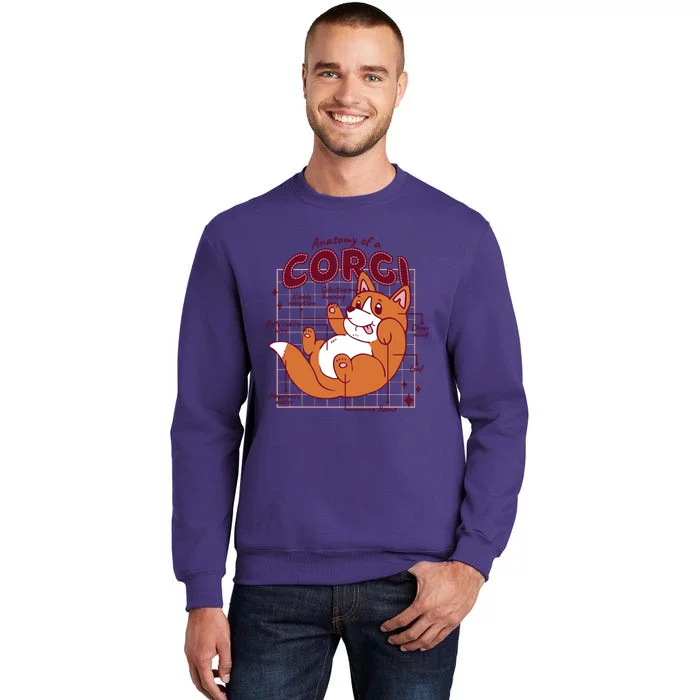 Anatomy Of A Corgi Dog Sweatshirt