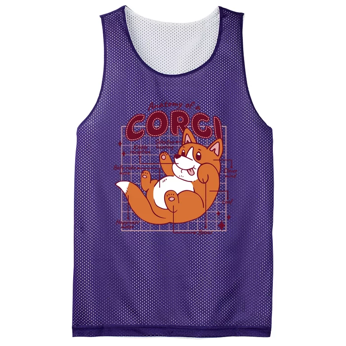 Anatomy Of A Corgi Dog Mesh Reversible Basketball Jersey Tank