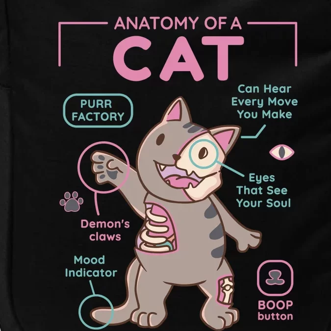 Anatomy Of A Cat Impact Tech Backpack