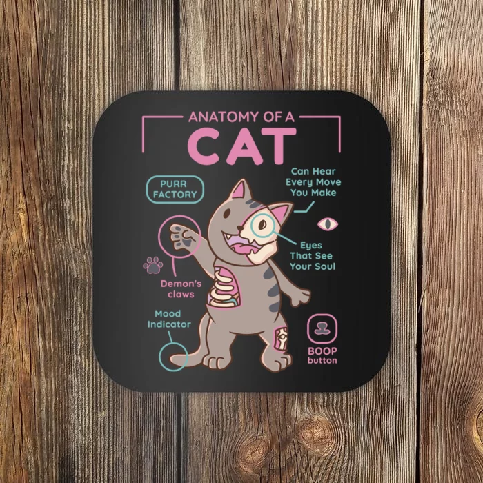 Anatomy Of A Cat Coaster