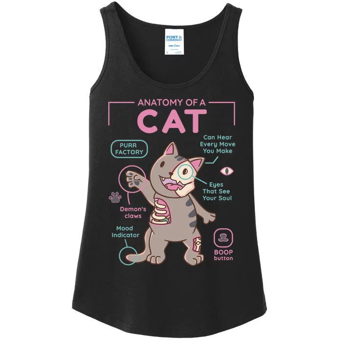 Anatomy Of A Cat Ladies Essential Tank