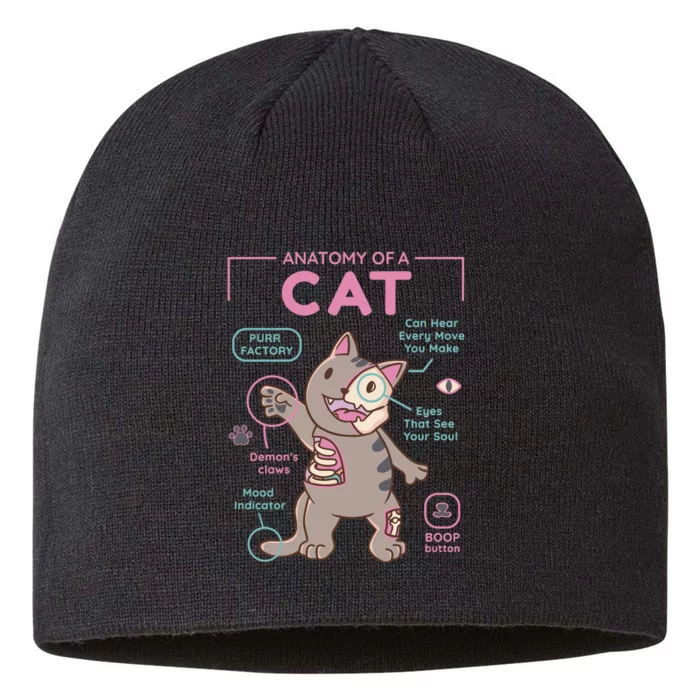 Anatomy Of A Cat 8 1/2in Sustainable Knit Beanie