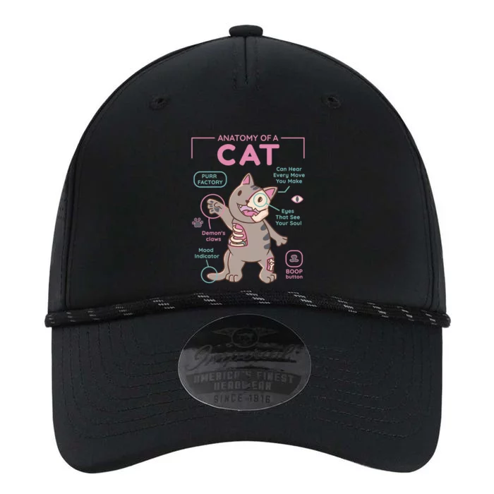 Anatomy Of A Cat Performance The Dyno Cap