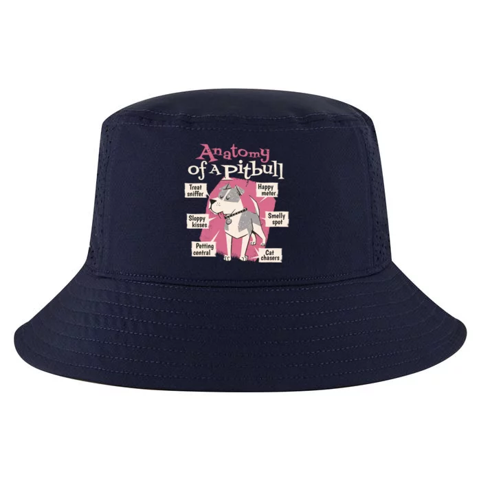 Anatomy Of A Pitbull Cute Gift Cool Comfort Performance Bucket Hat