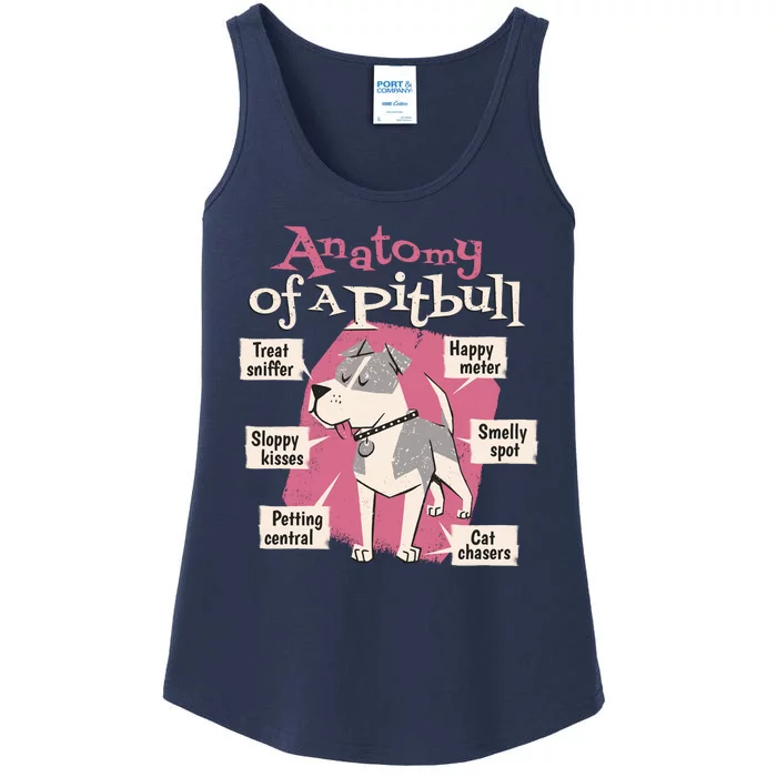 Anatomy Of A Pitbull Cute Gift Ladies Essential Tank