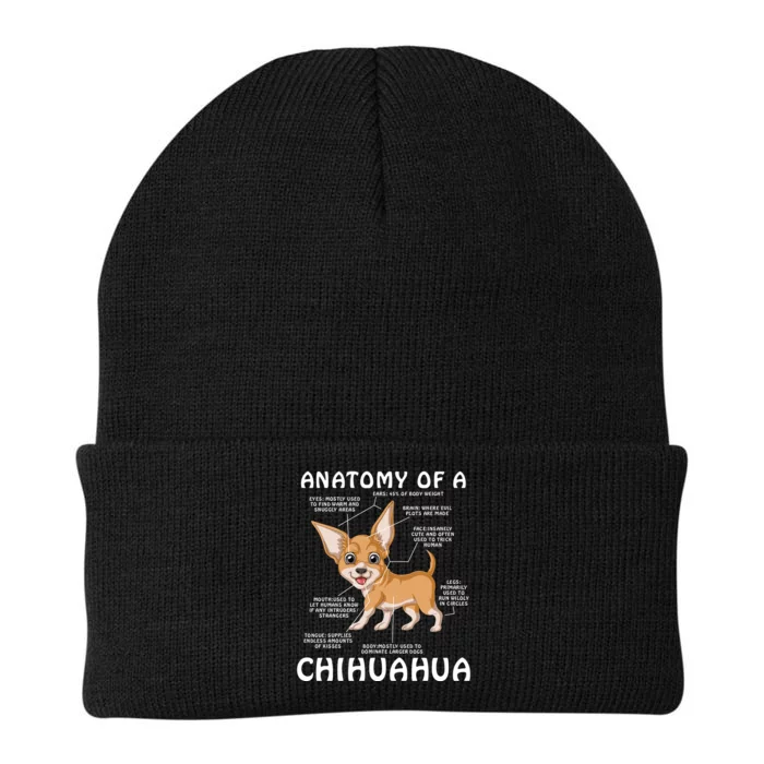 Anatomy Of A Chihuahua Knit Cap Winter Beanie