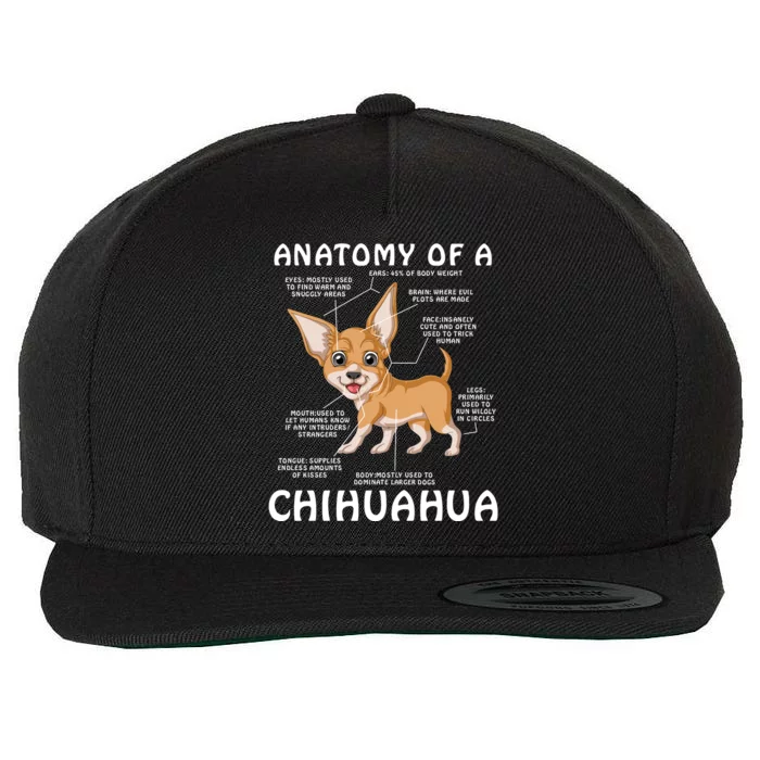 Anatomy Of A Chihuahua Wool Snapback Cap