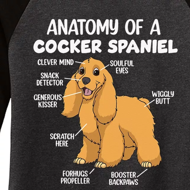 Anatomy Of A Cocker Spaniel funny pet lover Women's Tri-Blend 3/4-Sleeve Raglan Shirt