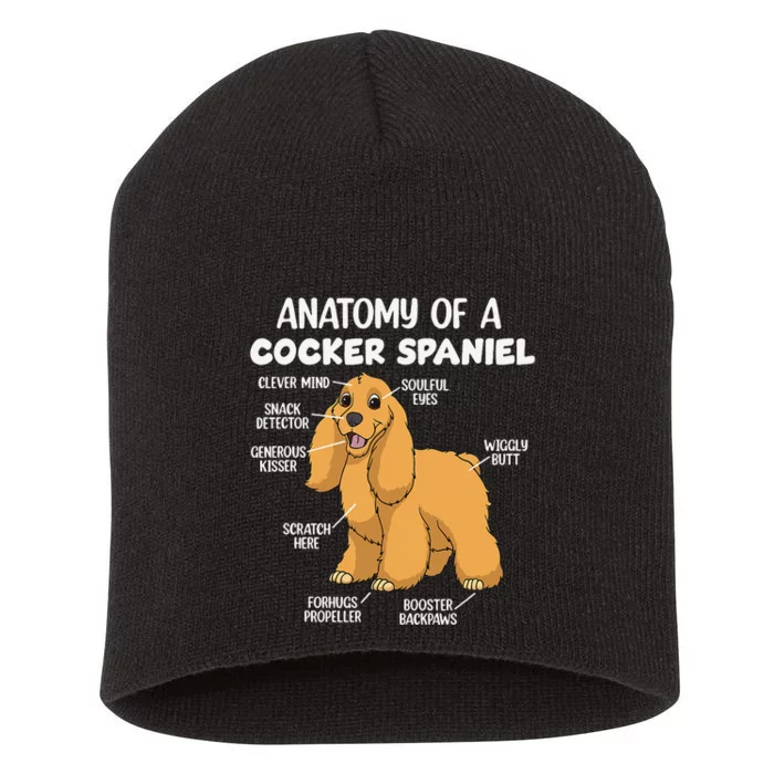 Anatomy Of A Cocker Spaniel funny pet lover Short Acrylic Beanie