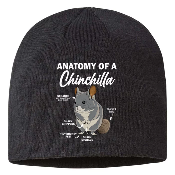 Anatomy Of A Chinchilla For Women Chinchilla Mom Funny 8 1/2in Sustainable Knit Beanie