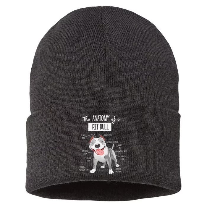 Anatomy Of A Pitbull Dog Lover Tee Sustainable Knit Beanie