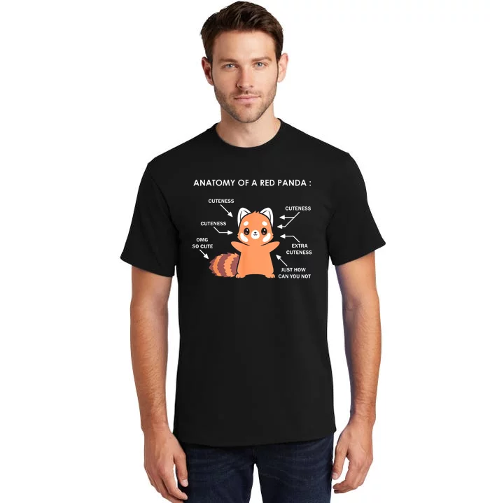 Anatomy Of A Red Panda Science Zoologist Red Panda Anatomy Gift Tall T-Shirt