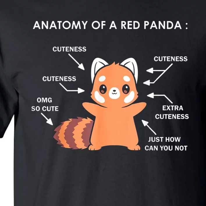 Anatomy Of A Red Panda Science Zoologist Red Panda Anatomy Gift Tall T-Shirt