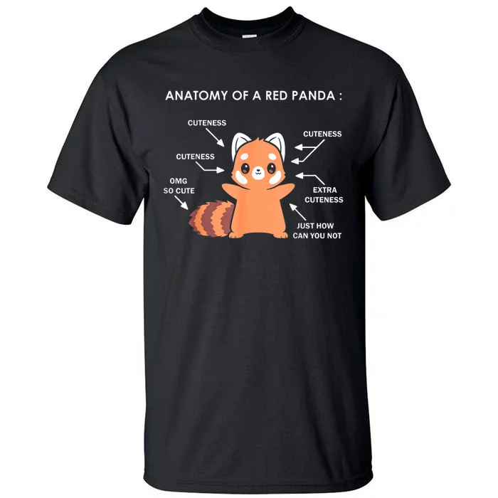 Anatomy Of A Red Panda Science Zoologist Red Panda Anatomy Gift Tall T-Shirt