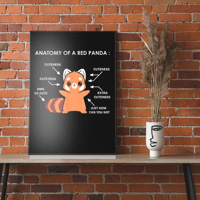 Anatomy Of A Red Panda Science Zoologist Red Panda Anatomy Gift Poster