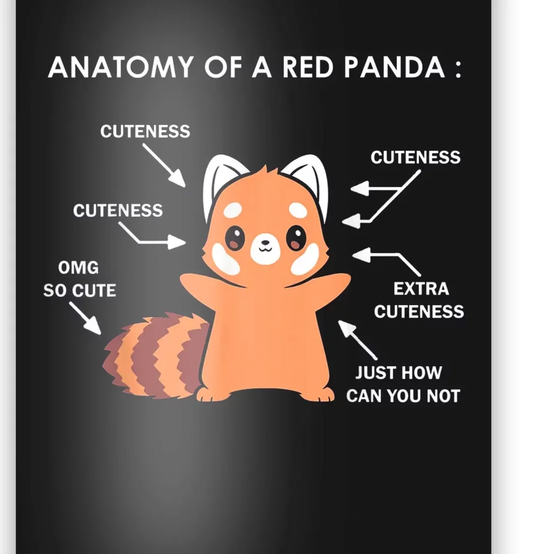 Anatomy Of A Red Panda Science Zoologist Red Panda Anatomy Gift Poster