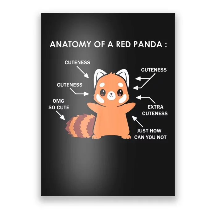 Anatomy Of A Red Panda Science Zoologist Red Panda Anatomy Gift Poster