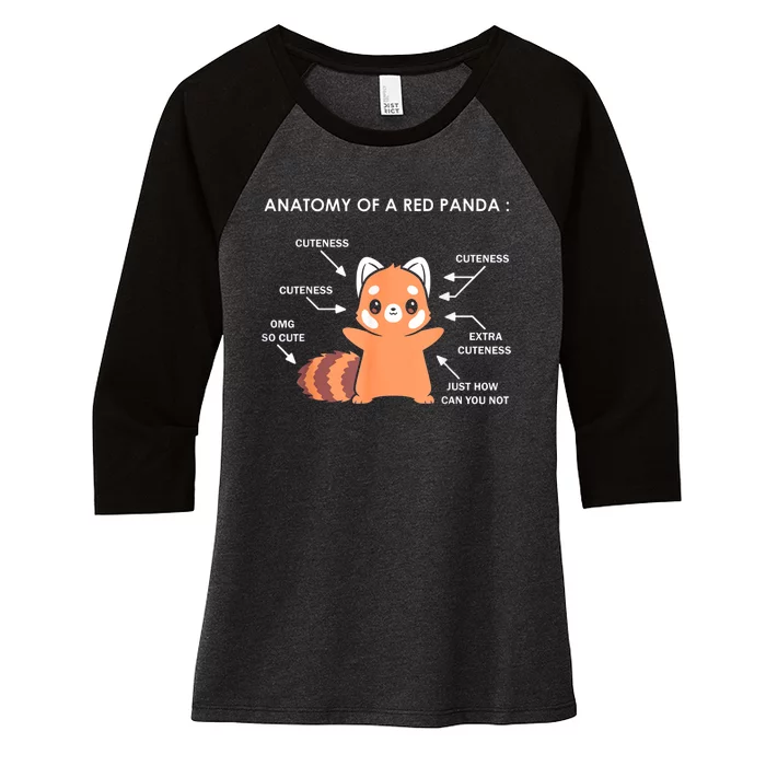 Anatomy Of A Red Panda Science Zoologist Red Panda Anatomy Gift Women's Tri-Blend 3/4-Sleeve Raglan Shirt