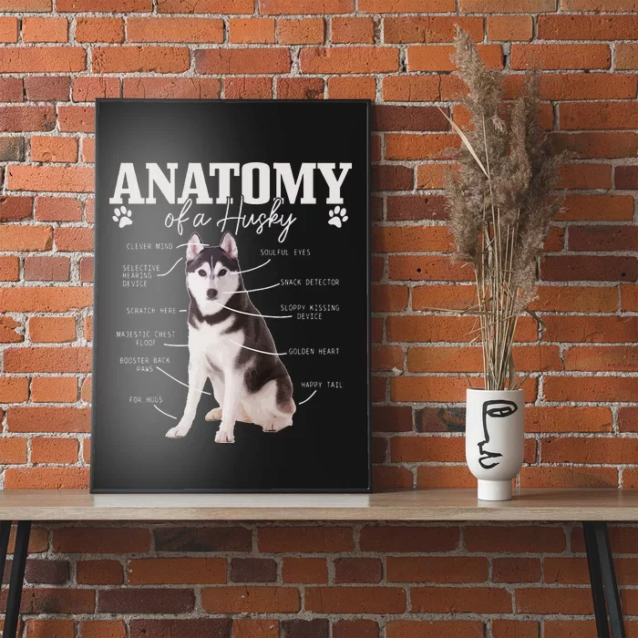 Anatomy Of A Siberian Husky Funny Cute Dog Husky Mom Dad Poster