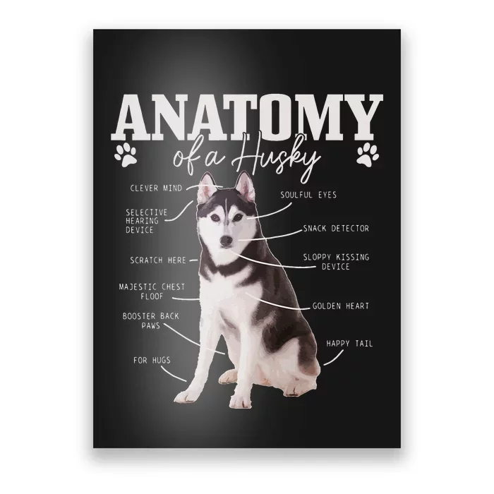 Anatomy Of A Siberian Husky Funny Cute Dog Husky Mom Dad Poster